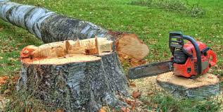  Addison, IL Tree Removal Pros