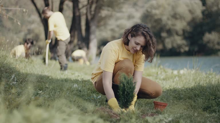 Best Artificial Turf Installation  in Addison, IL